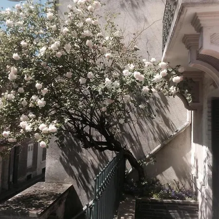 La Maison Rose Et Son Jardin Apartment